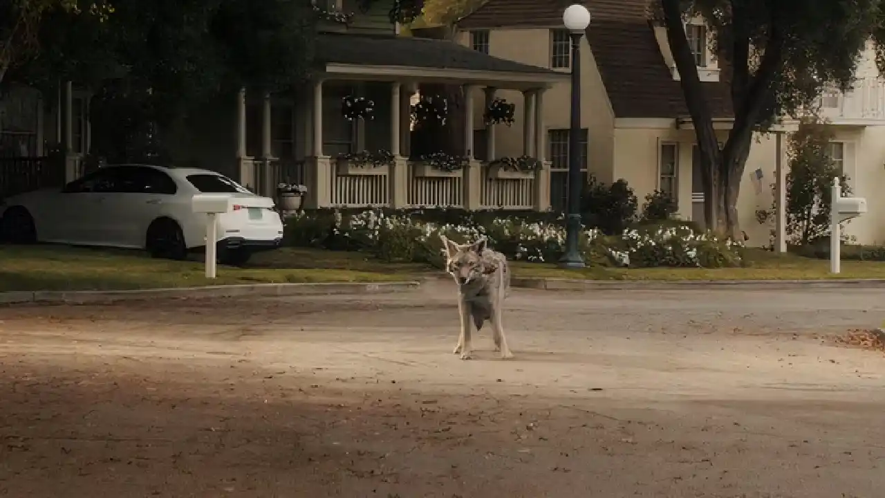 Agatha ve un coyote en el episodio 2 de Agatha All Along.