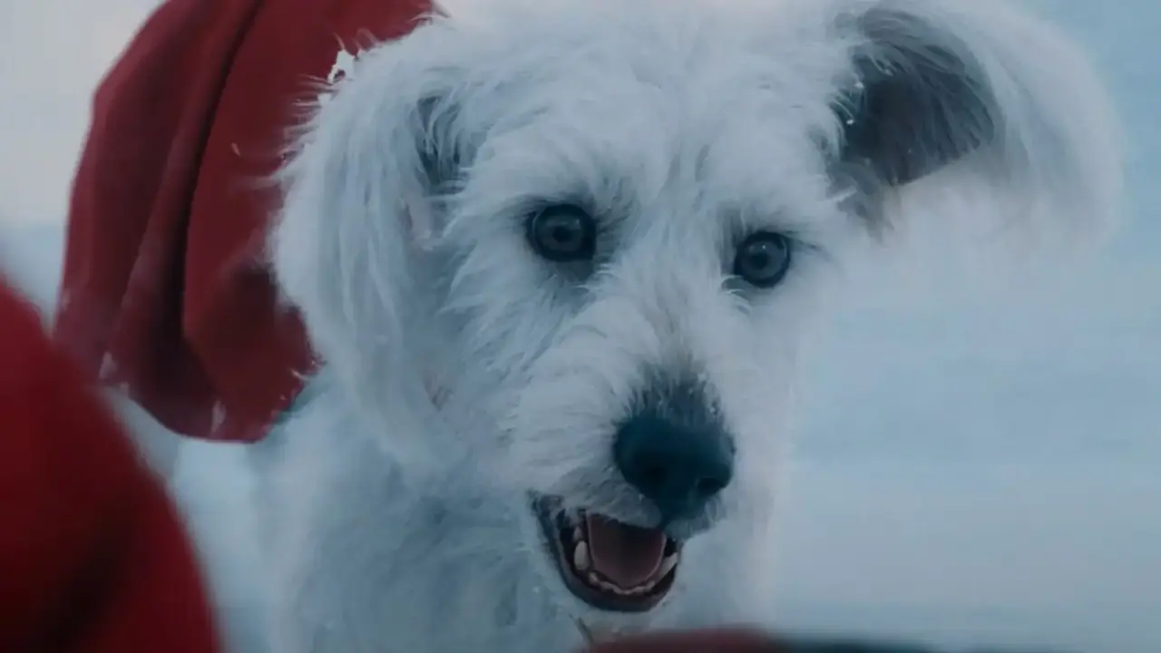 ¿Qué papel jugará Krypto en la película de Supergirl? Los cómics indican que será clave