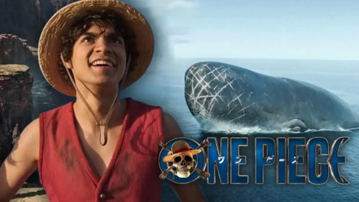 One Piece temporada 2: ¿Qué papel juega Laboon y por qué su aparición es tan importante?