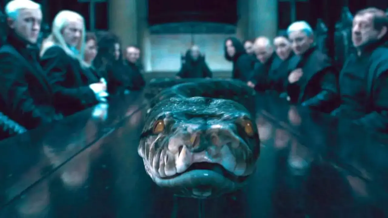 Curiosidades sobre Tom Riddle que pocos fans recuerdan